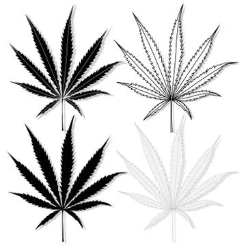 Cannabis leaf vector isolated Stock Illustration
