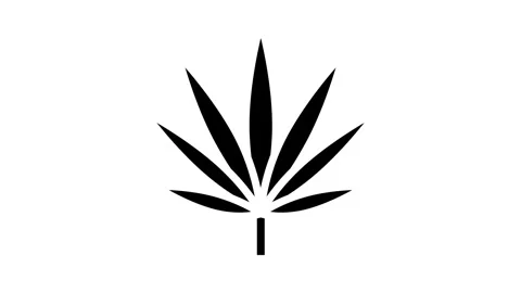 Cannabis leaf weed hemp glyph icon animation Stock Footage 326155877