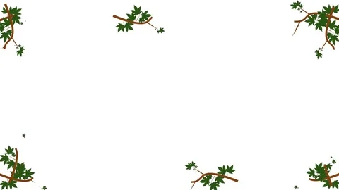 Cannabis Leaves Growing into a Frame in Alpha Channel Stock Footage 79705726