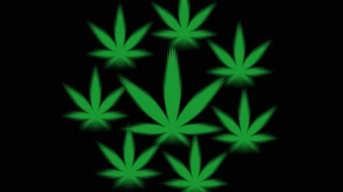 Cannabis Leaves Leaf Pattern Rotating Stock Footage 139738464