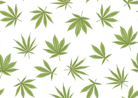 Cannabis leaves seamless pattern, background. Stock Illustration