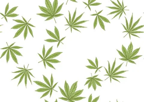 Cannabis leaves seamless pattern, background. Stock Illustration