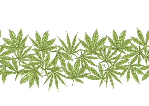 Cannabis leaves seamless pattern, background. Stock Illustration