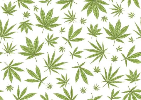 Cannabis leaves seamless pattern, background. Stock Illustration