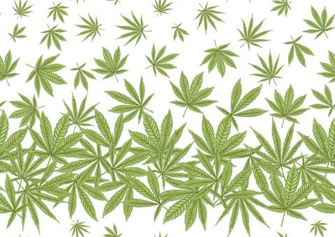 Cannabis leaves seamless pattern, background. Stock Illustration