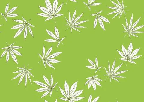 Cannabis leaves seamless pattern, background. Stock Illustration