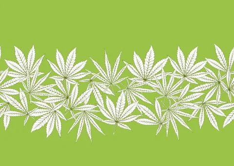 Cannabis leaves seamless pattern, background. Stock Illustration