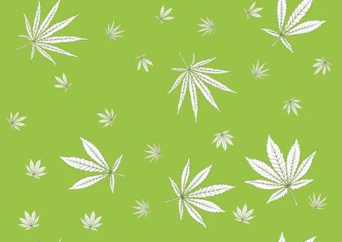 Cannabis leaves seamless pattern, background. Stock Illustration