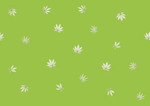 Cannabis leaves seamless pattern, background. Stock Illustration