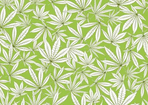 Cannabis leaves seamless pattern, background. Stock Illustration