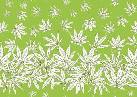 Cannabis leaves seamless pattern, background. Stock Illustration