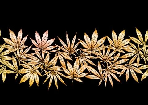 Cannabis leaves seamless pattern, background. Stock Illustration