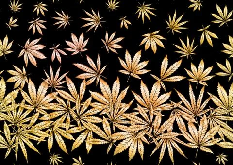 Cannabis leaves seamless pattern, background. Stock Illustration