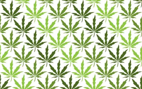 Cannabis leaves seamless pattern on white background Stock Illustration