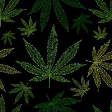 Cannabis Leaves. Seamless Pattern for your design Stock Illustration