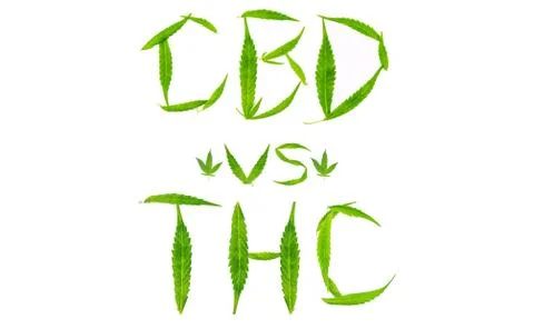 Cannabis Leaves on white forming CBD vs THC letters, medical marijuana Stock Photos