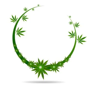 Cannabis marijuana design graphics Stock Illustration