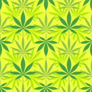 Cannabis marijuana leaves seamless pattern. Stock Illustration