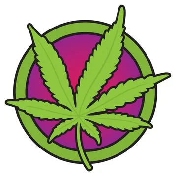 Cannabis or marijuana leaf vector design. Stock Illustration