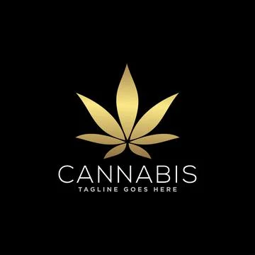 Cannabis or Marijuana Logo Design Vector Stock Illustration