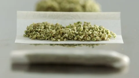 Cannabis in paper Stock Footage 94335912