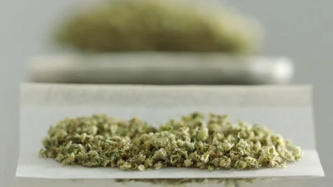 Cannabis in paper ready to roll Stock Footage 94336087