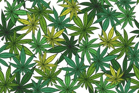 Cannabis pattern Stock-Illustration