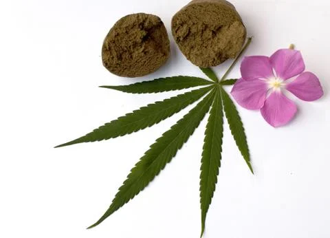 Cannabis Stock Photos
