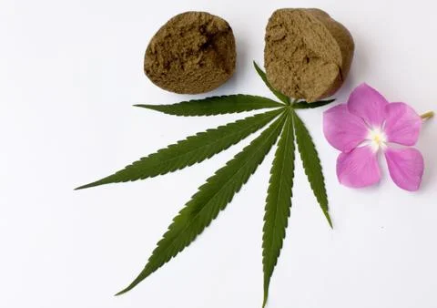 Cannabis Stock Photos