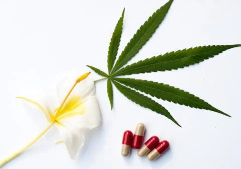 Cannabis Stock Photos