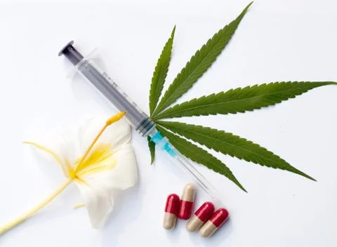 Cannabis Stock Photos