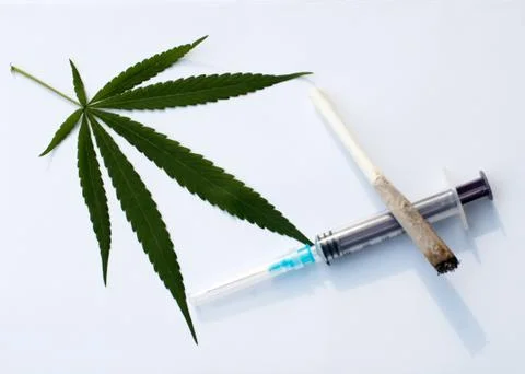 Cannabis Stock Photos