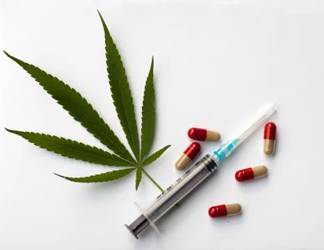 Cannabis Stock Photos
