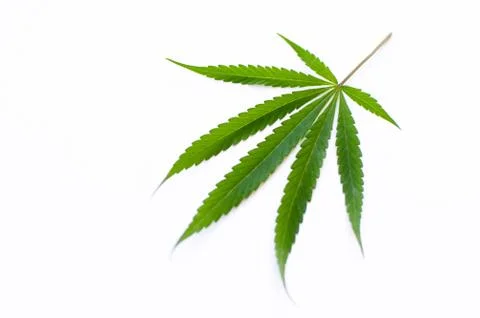 Cannabis Stock Photos