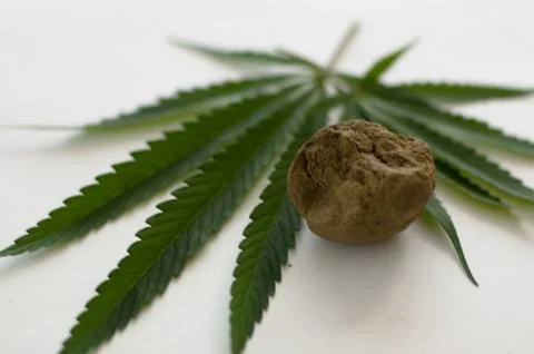 Cannabis Stock Photos