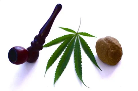 Cannabis plant Stock Photos
