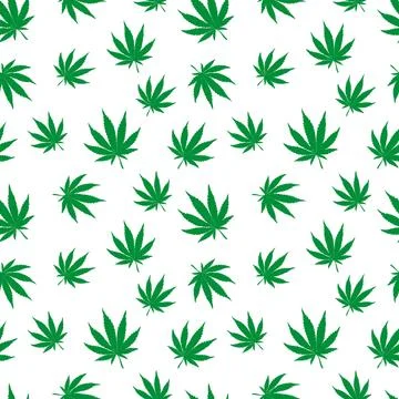Cannabis plant vector seamless pattern. Simple stylized marijuana leaves on w Illustrazione stock
