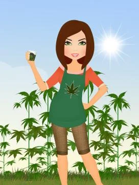 Cannabis plants in sunlight Stock Illustration