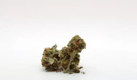 Cannabis Rotating Stock Footage 230735915
