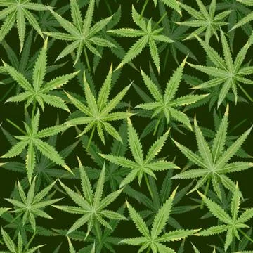 Cannabis seamless pattern with marijuana leaves, leaf silhouette on dark black Illustrazione stock