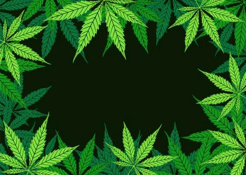 Cannabis vector green frame of leaf on black background. Cartoon hand drawing Stock Illustration