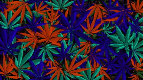 Cannabis Vector Multicolor Background Stock Footage 90809599