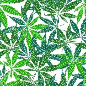 Cannabis vector seamless pattern of green leaf on white background 스톡 일러스트