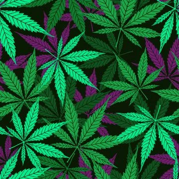 Cannabis vector seamless pattern of green leaf on black background Illustrazione stock