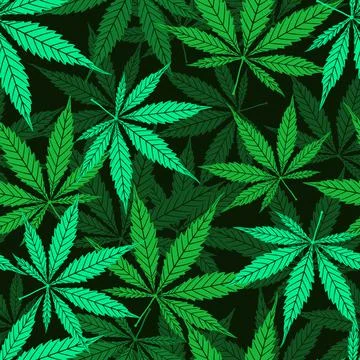 Cannabis vector seamless pattern of green leaf on black background イラスト素材