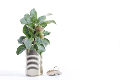 Canned Apple Tree Foto stock