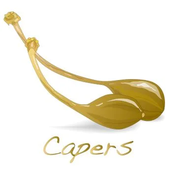 Canned capers vector illustration Stock Illustration
