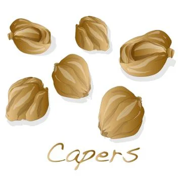 Canned capers vector illustration Stock Illustration