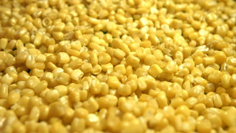 Canned corn kernels. Stockbeeldmateriaal 102963770