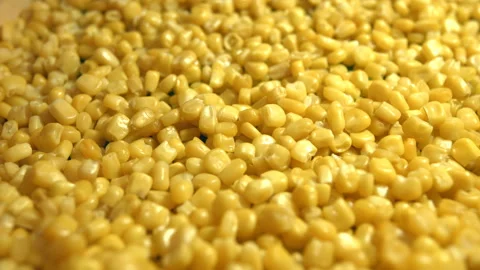 Canned corn kernels Video stock 102964103